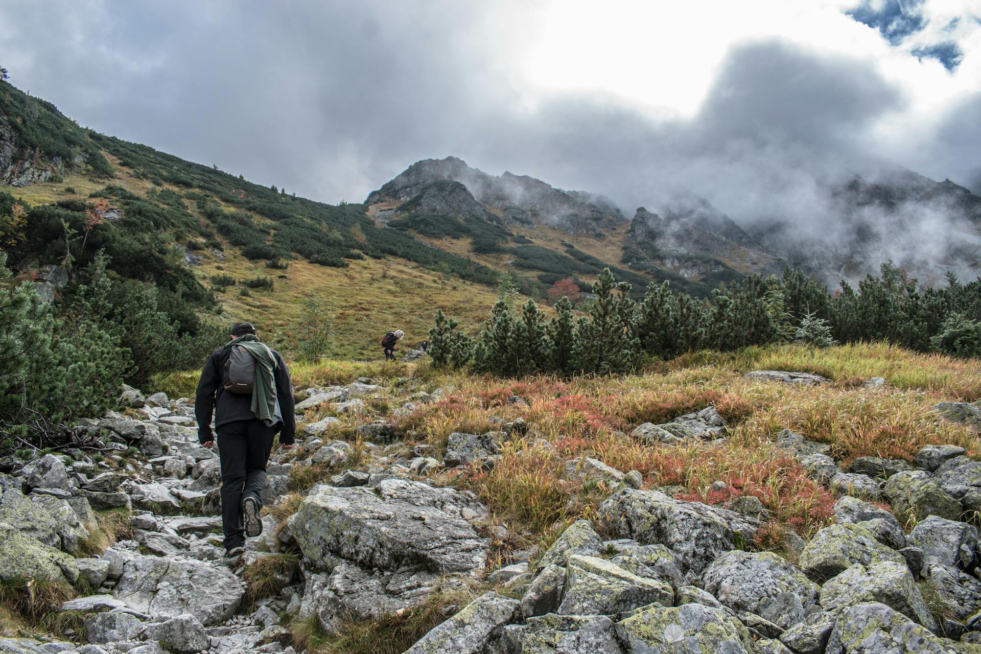 Activity: Hiking & Camping