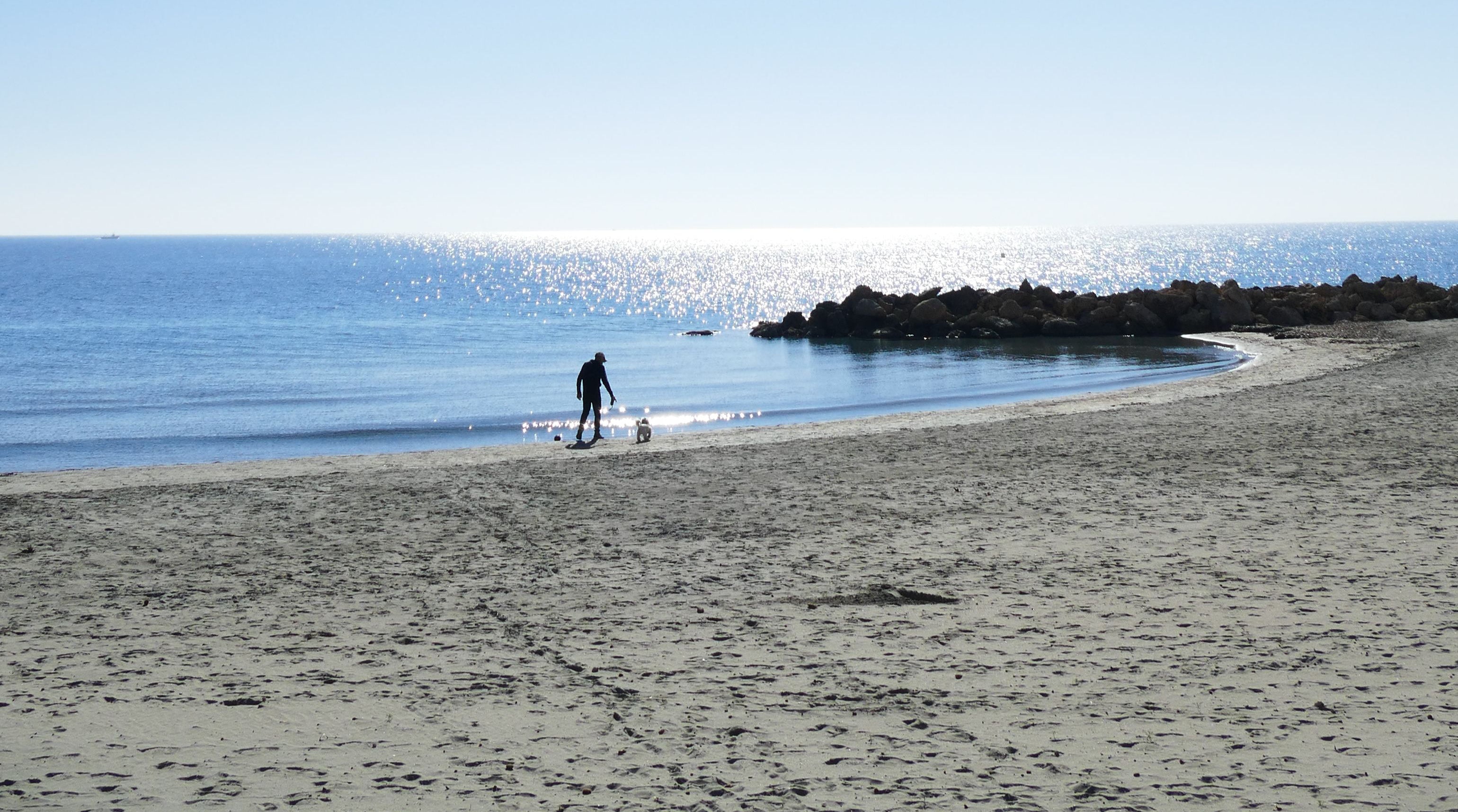Activity: Beach & Coastal Walks