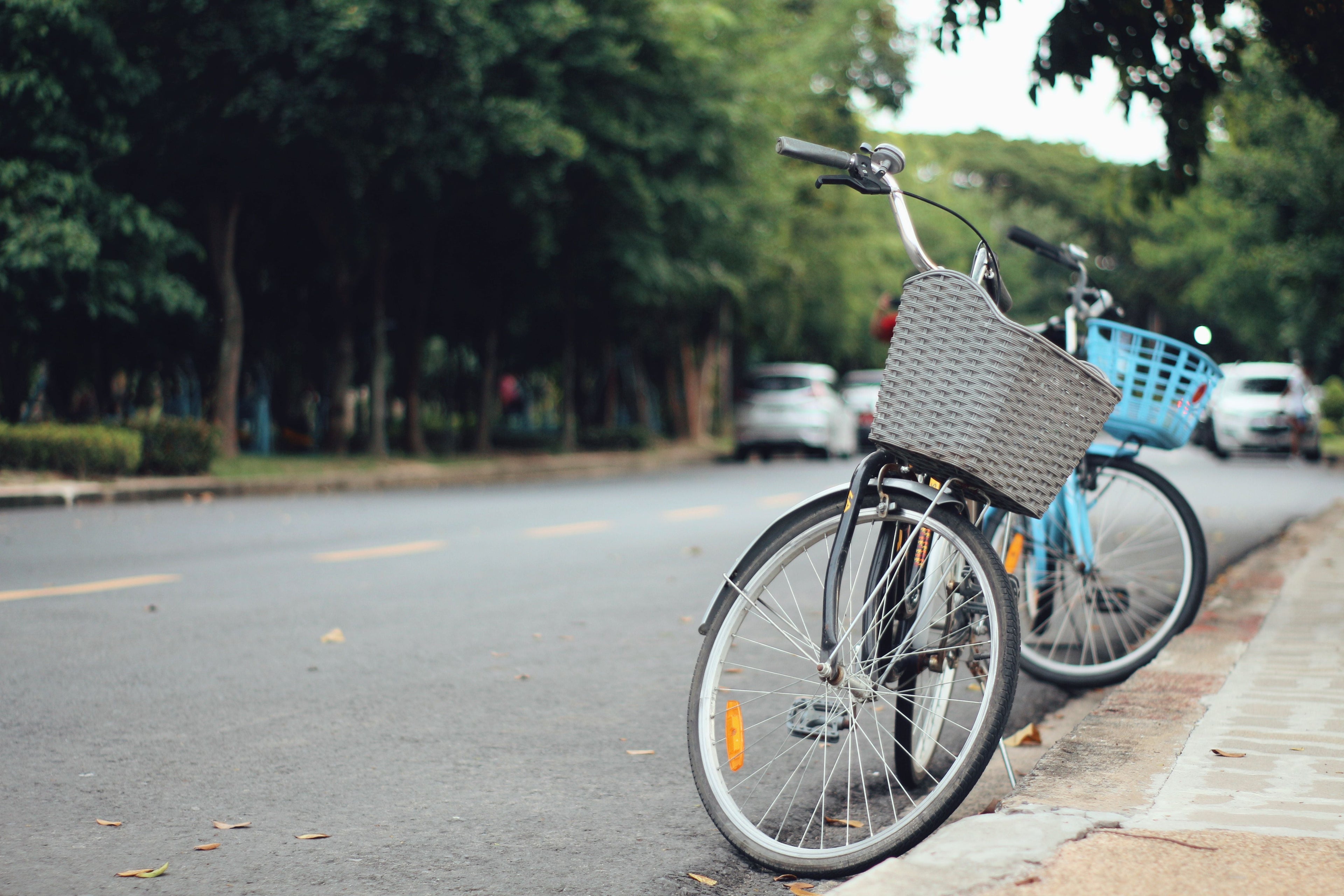 Activity: Cycling & Urban Movement