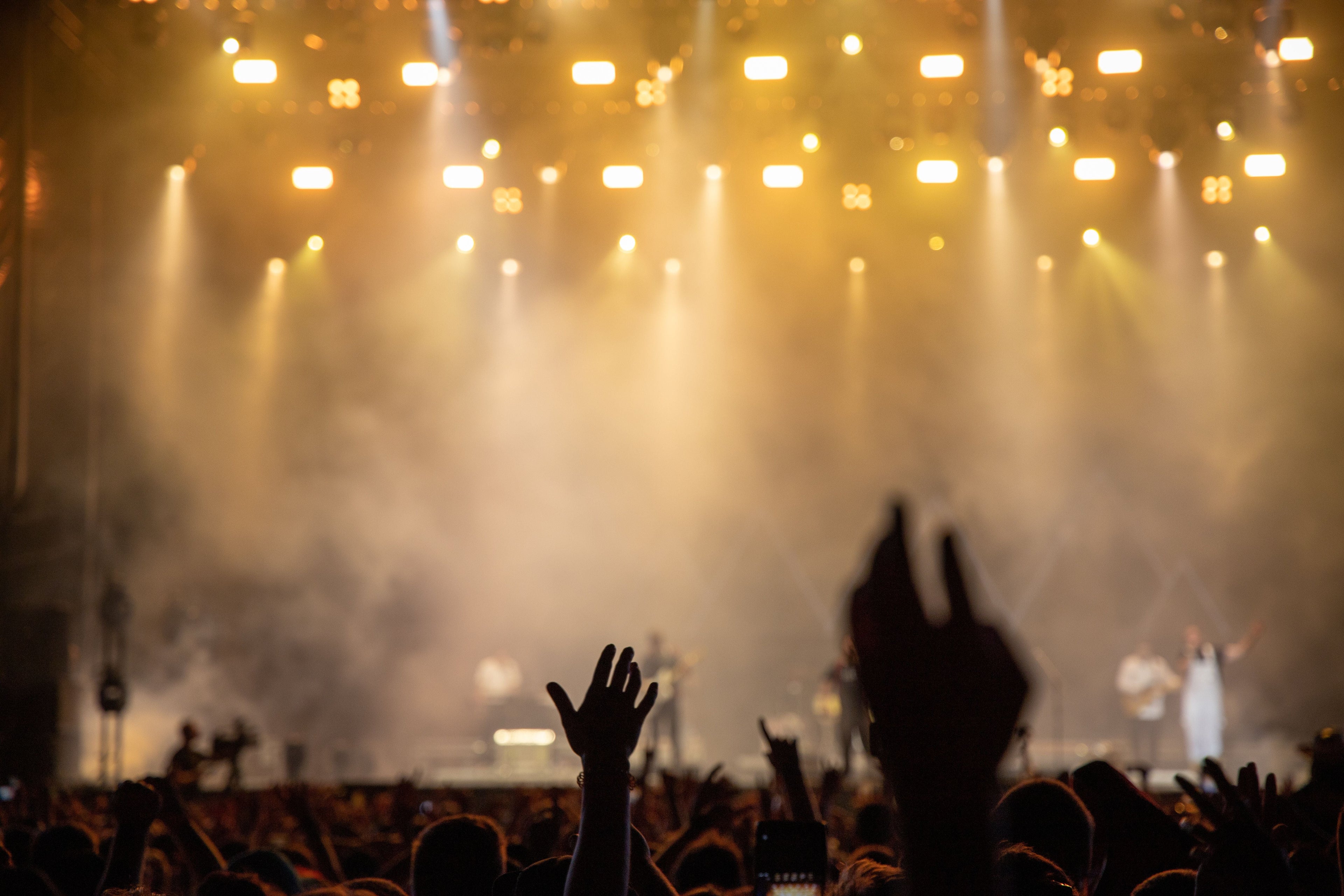 Activity: Concerts & Festivals