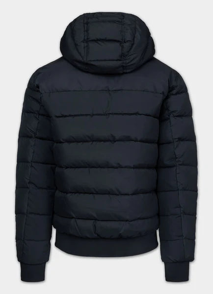 Men Quilted winter jacket with hood DILLON - Dark Blue