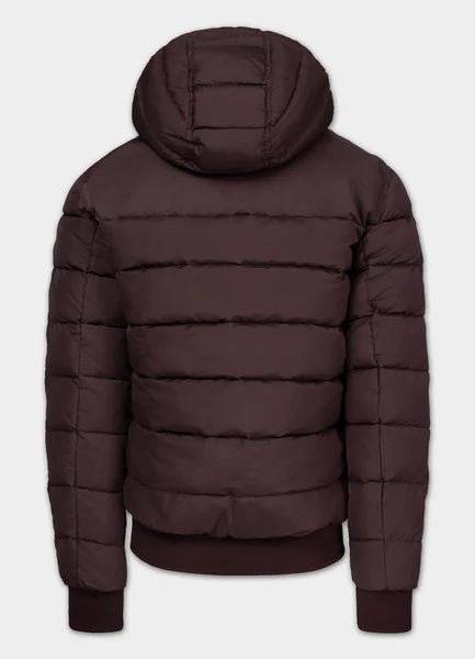 Men Quilted winter jacket with hood DILLON - Burgundy