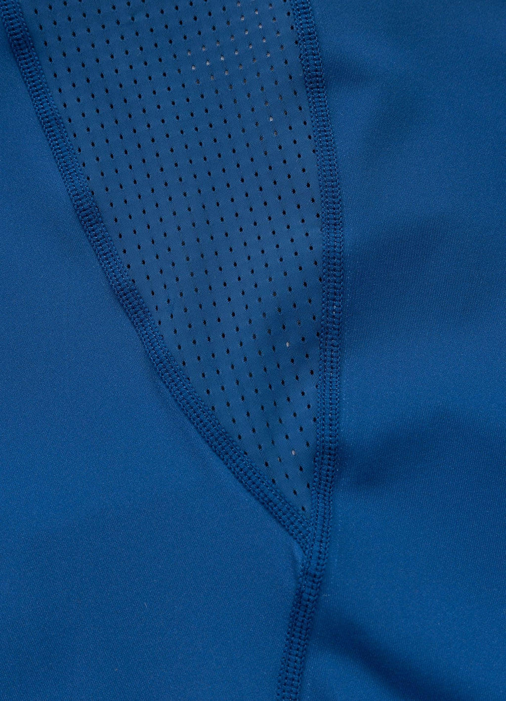 Rashguard longsleeve LOGO PALMS - Blue