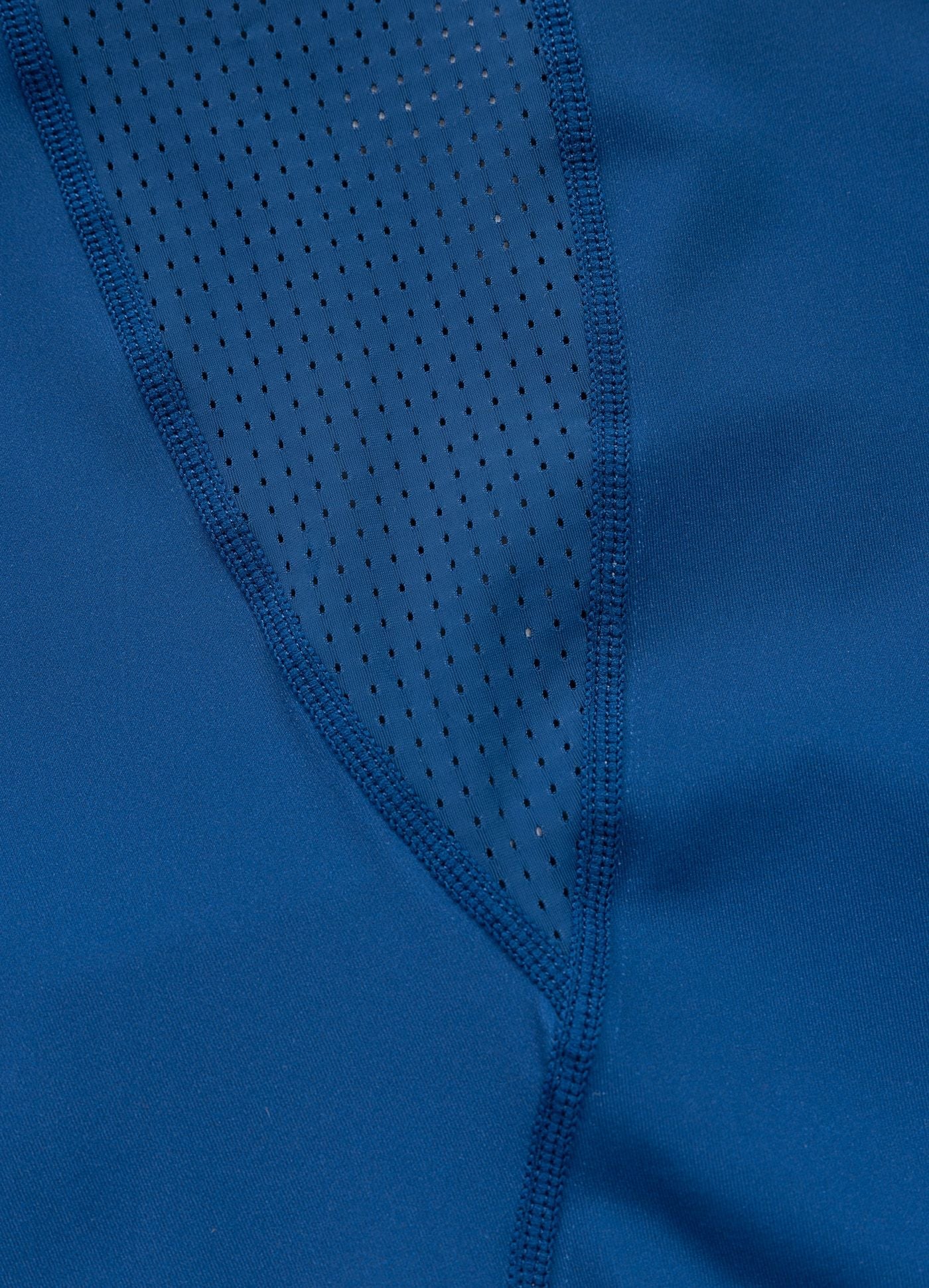 Rashguard longsleeve LOGO PALMS - Blue