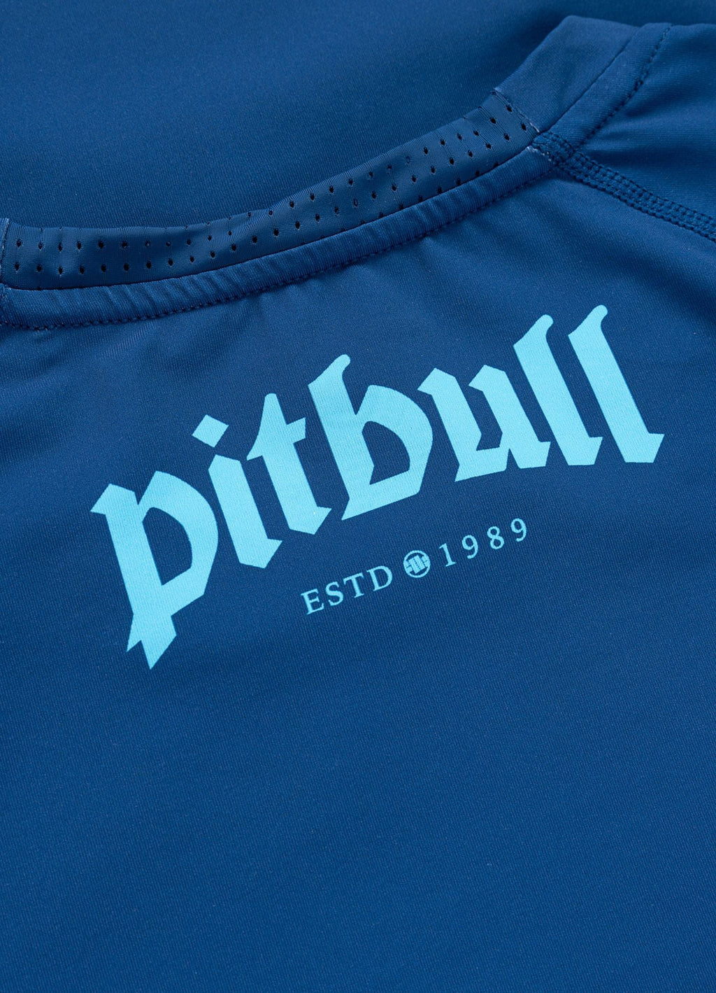 Rashguard longsleeve LOGO PALMS - Blue